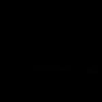 Partner 2