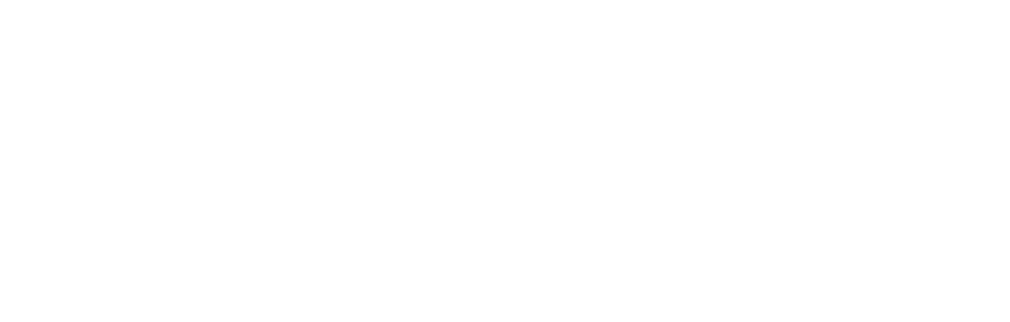 Partner 9